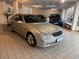 Mercedes-Benz CLK 270 CLK Coupe - Mercedes-Benz CLK 270: Sportwagen