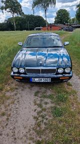 Jaguar Daimler 4.0 Six  - Jaguar Daimler: 4.0