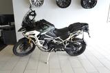 Triumph Tiger 1200 Rally Explorer - TRIUMPH T120