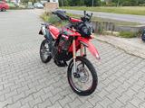 Honda CRF 300 L Rally - Honda CRF300 Rally