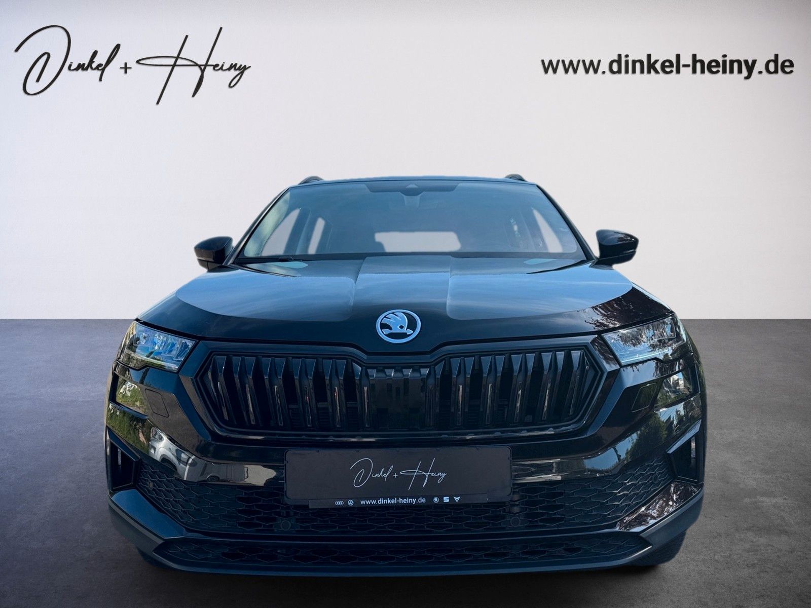 Fahrzeugabbildung SKODA Karoq Ambition Tour 1.5 TSI