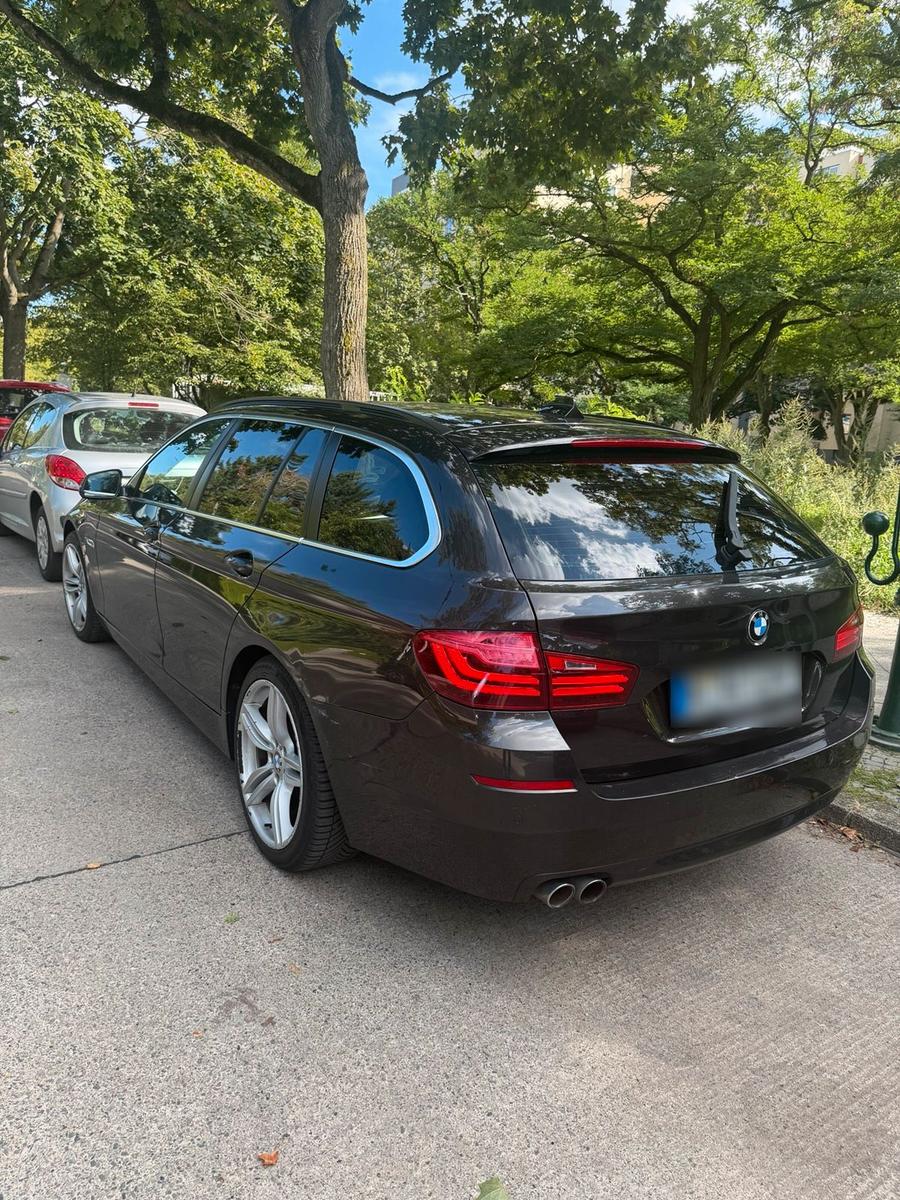 BMW 525 2014 — вигляд ззаду