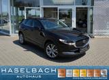 Mazda CX-30 Exclusive 360° BOSE Notbremsassi LogIn Fre - gebrauchte Mazda CX-30 aus dem Jahr 2024