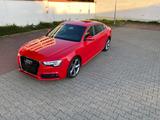 Audi A5 2.0 TDI  S tronic quattro S-LINE - Audi A5 in Frankfurt (Main)