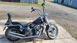 Harley-Davidson FXSTS Softail Springer  - Offers matching your search criteria