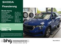 Skoda Karoq - Vorschau Bild 1