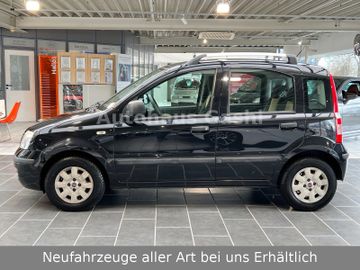 Fahrzeugabbildung Fiat Panda 1.2 Dynamic*2Hd*Klima*Servo*Zahnriemen-Neu