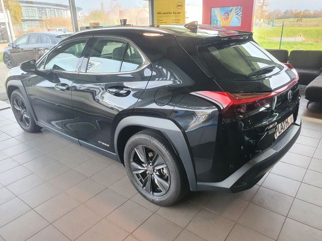 Lexus UX  250h Executive *NAVI*LEDER*SCHIEBEDACH*