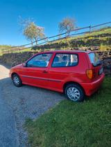 Volkswagen Polo 1.4 Basis - Volkswagen Polo aus 1997