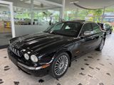 Jaguar XJ8 4.2 Liter Executive - Jaguar: Limousine