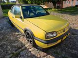 Volkswagen VW Golf 3 Cabrio Color Concept - Volkswagen Golf: Concept