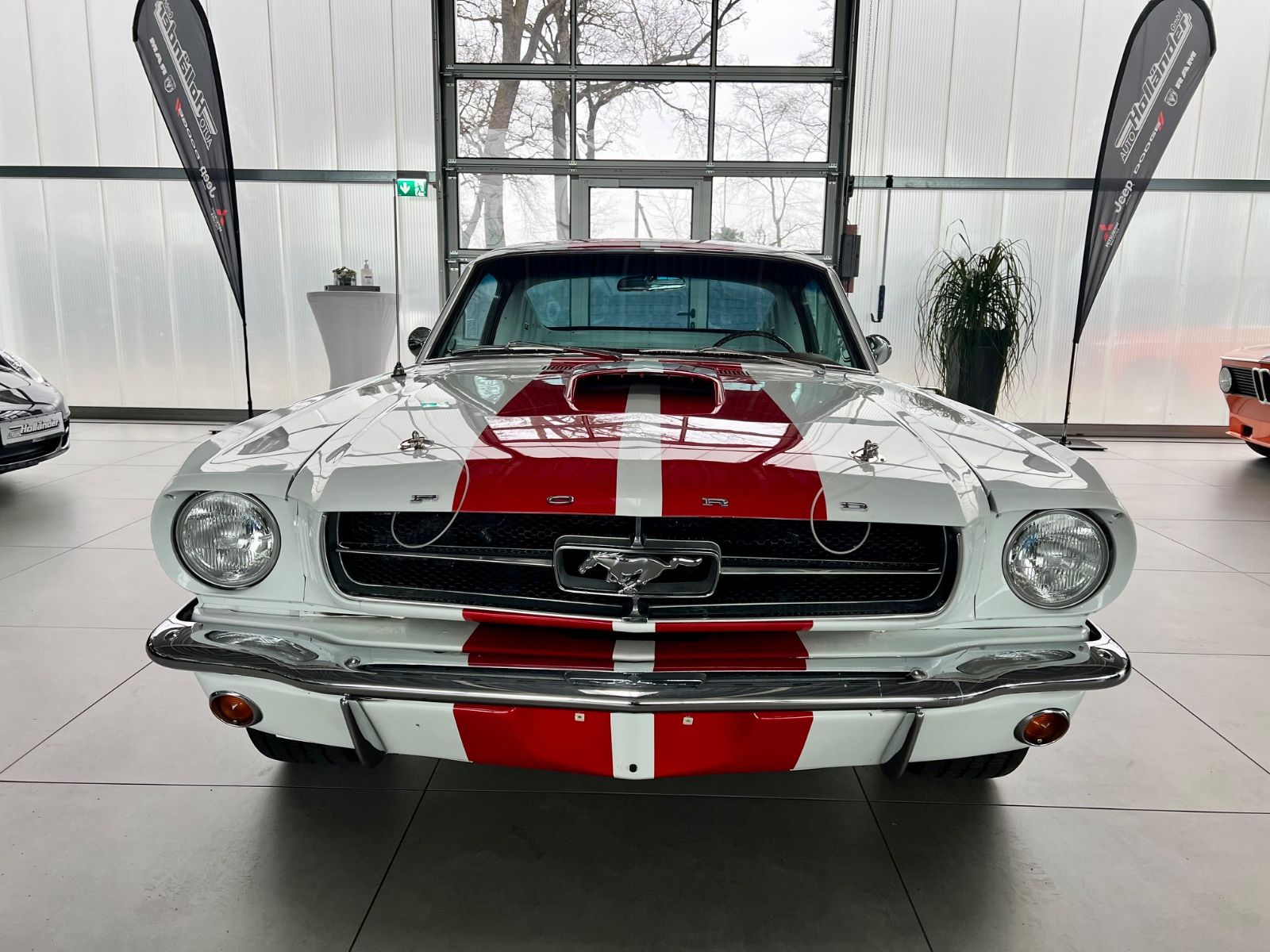 Fahrzeugabbildung Ford Mustang Fastback 4,7 V8 2+2 Fastback Pony