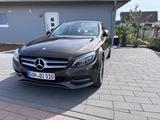 Mercedes-Benz C 220 CDI 4MATIC AVANTGARDE Autom. AVANTGARDE - Mercedes-Benz C 220: Braun