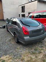 Nissan Auto mit TÜV Nissan Primera - gebrauchte Nissan Primera aus dem Jahr 2004