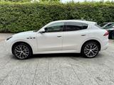 Maserati Grecale GT *Panorama*21Zoll*HUD*Kamera*Hagel - gebrauchte Maserati Grecale aus dem Jahr 2024