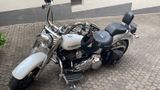 Harley-Davidson Fat Boy  - Offers matching your search criteria