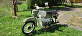 Simson Habicht - SIMSON HABICHT