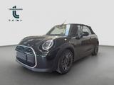 MINI COOPER C Cabrio Favoured Trim Steptronic Navi - MINI Cooper C: Cabrio