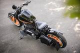 Harley-Davidson Springer Bobber Umbau Custom Softail - HARLEY-DAVIDSON 2004 SOFTAIL