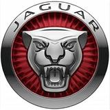 Jaguar F-Type S - 3.0 V6 - AWD - Klappe, Autom.,19', Na - graue Jaguar F-Type