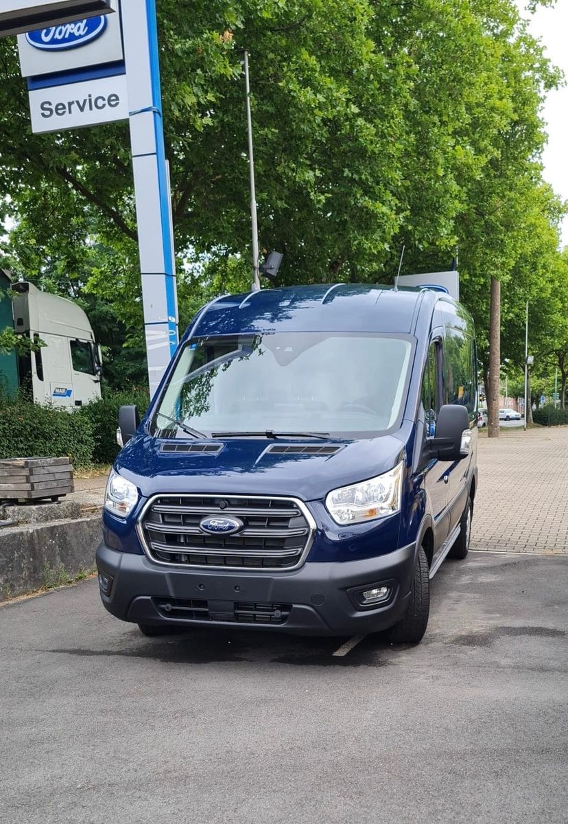 Fahrzeugabbildung Ford Transit Kasten 290 L2 Trend