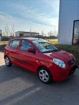 Kia Picanto 1.1 Cool Cool - Kia Picanto Cool mit Benzin-Antrieb