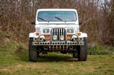 Jeep JEEP Wrangler YJ Top Zustand - Jeep Wrangler YJ mit Benzin-Antrieb