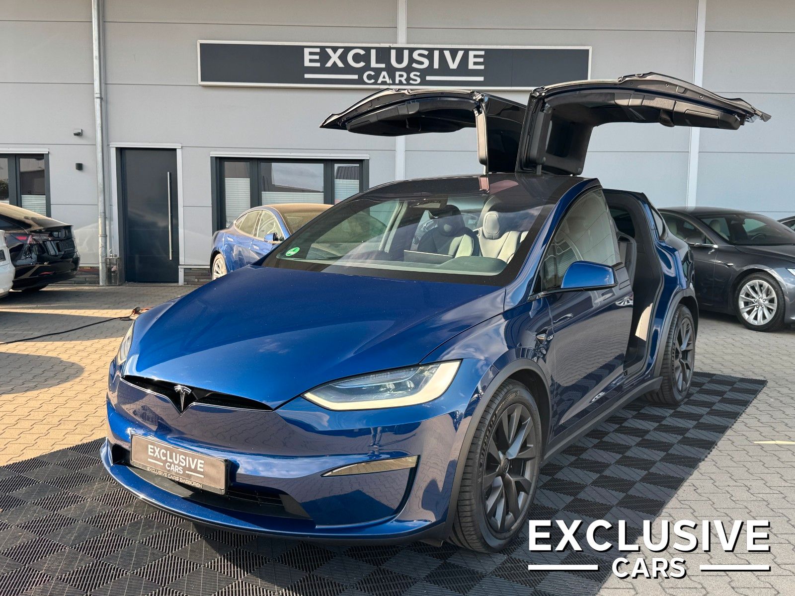 Tesla MODEL X PALLADIUM | FULL SELF DRIVE| HW4