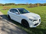Alfa Romeo Stelvio 2.9 Bi-T. V6 375kW Quadrifoglio AT8-... - Alfa Romeo Stelvio: Quadrifoglio