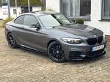 BMW M235i Coupé M-Performance Kamera - graue BMW M235