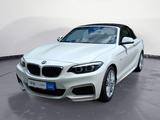 BMW 218i Cabrio M Sport Aut. Navi Business Klimaaut. - gebrauchte BMW Roadster
