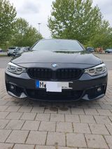 BMW 430d Gran Coupé M-Paket Sport M-Felgen Head-Up - BMW: Felge