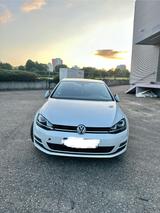 Volkswagen Vw Golf 7, Baujahr 2013, 1.4 Motor, Panora... - Volkswagen Golf: V Baujahr