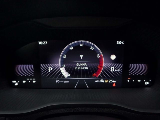 Fahrzeugabbildung SKODA Karoq Elegance 1.5 TSI DSG | LED RFK DAB+