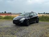 Fiat Punto Pop*1,4*Klimaanlage*Tüv Neu - Fiat Punto mit Benzin-Antrieb: Kleinwagen