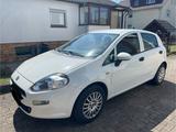 Fiat Punto 1.2 Typ 199 - Fiat Punto: 199