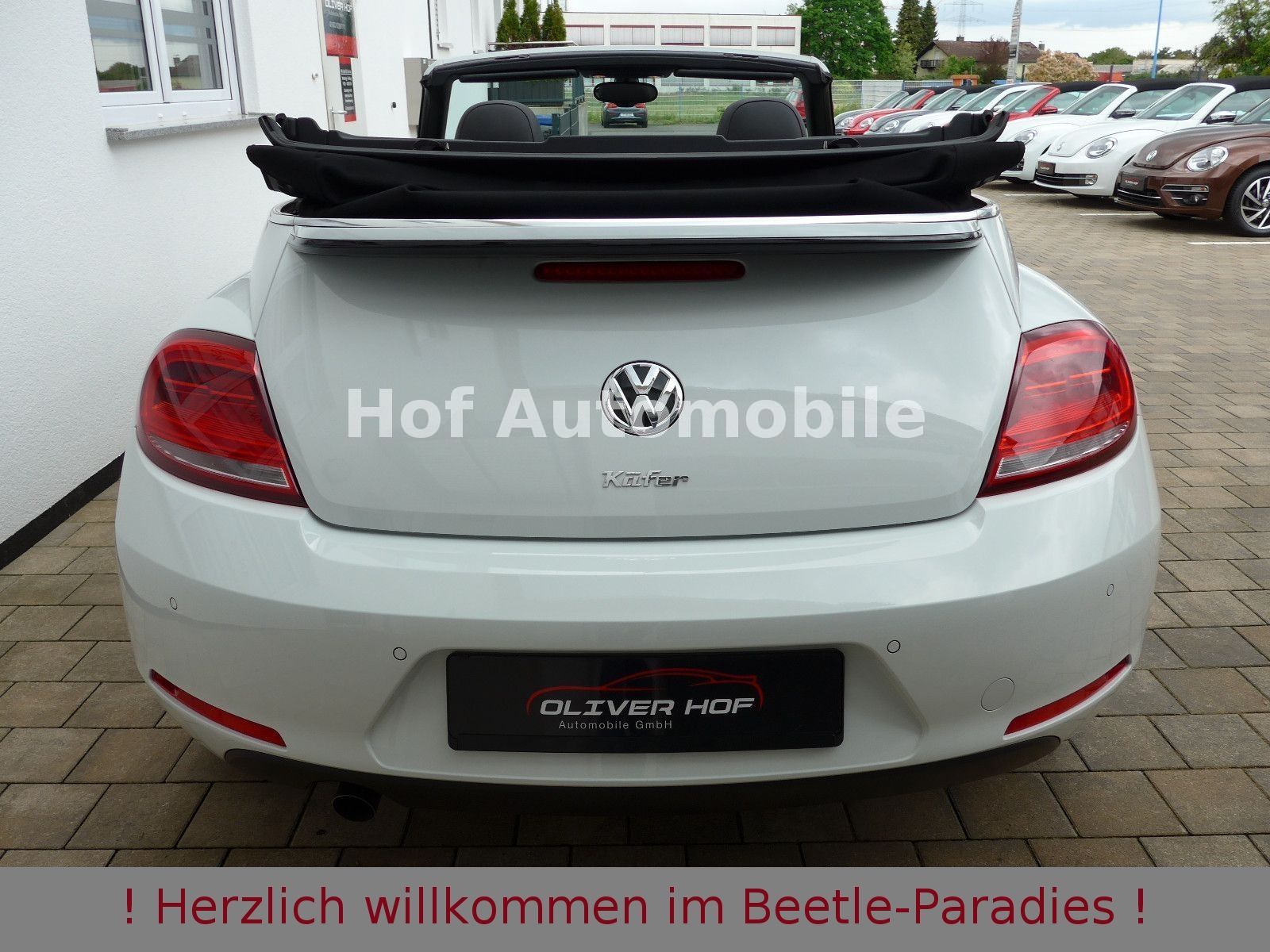 Volkswagen Beetle 1.2TSI Allstar Plus Xenon Leder Fender foto 21