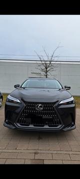 Lexus NX 350h 350h Executive Line Executive Line - Lexus aus 2024: Nx