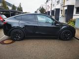 Tesla Model Y RWD  Standard Range