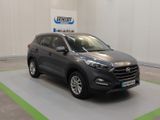 Hyundai Tucson 1.6  Intro Edition +NAV+SHZ+KAM+GRA+AHK+ - Hyundai in Rostock