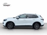 Volkswagen Tiguan 1.5 eTSI Life DSG neues Modell AHK LED+ - Volkswagen Tiguan: Modell