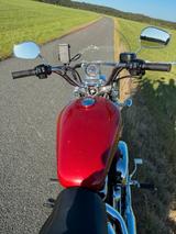 Harley-Davidson Sportster Super Low XL 1200 T - Offers