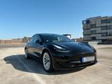 Andere Tesla Model 3 Long Range AWD Dual Motor - Andere in Bielefeld