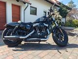 Harley-Davidson Sportster Forty-Eight - Harley-Davidson Motorräder in Mainz