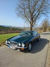 Jaguar XJ12 - Jaguar XJ12 von privat