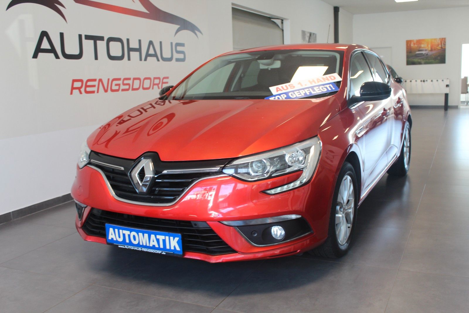 Renault Megane - 1