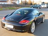 Porsche Cayman 1.Hd.,19",PASM,BOSE, Volleder,RDKS etc. - Porsche Cayman aus 2009