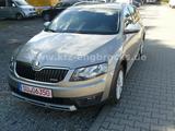 Skoda Octavia Combi Scout 1,6 TDI 4x4 - Skoda Octavia mit Diesel-Antrieb: Allradantrieb, Kombi, 1.6