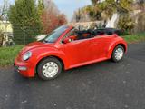 Volkswagen New Beetle 1.4 Cabriolet - - rote Volkswagen New Beetle