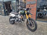 Triumph Scrambler 1200 XE Steve McQueen Edition - TRIUMPH SCRAMBLER